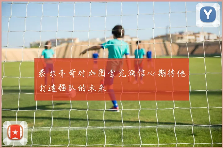 泰尔齐奇对加图索充满信心期待他打造强队的未来
