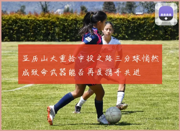亚历山大重拾中投之路三分球悄然成致命武器能否再度携手共进