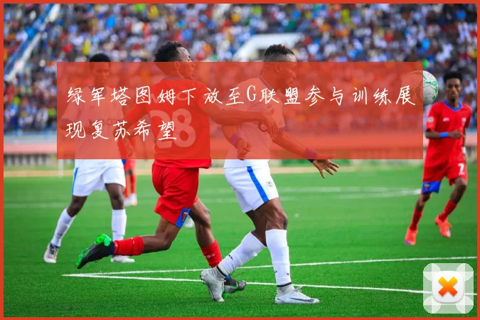 绿军塔图姆下放至G联盟参与训练展现复苏希望