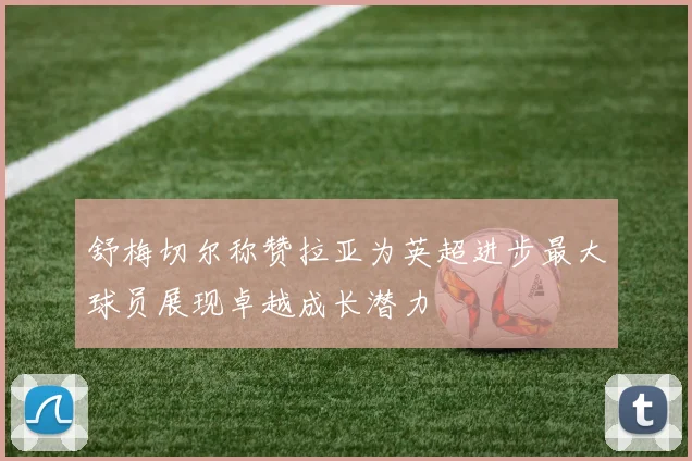 舒梅切尔称赞拉亚为英超进步最大球员展现卓越成长潜力